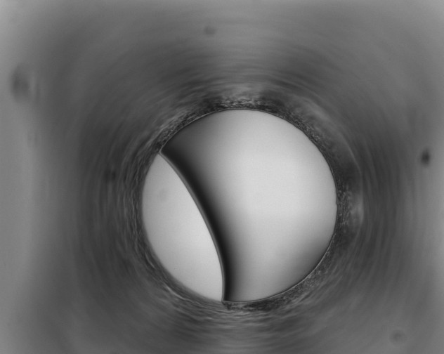 X0000098080224200804040759