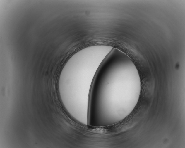 X0000098080225200804040759