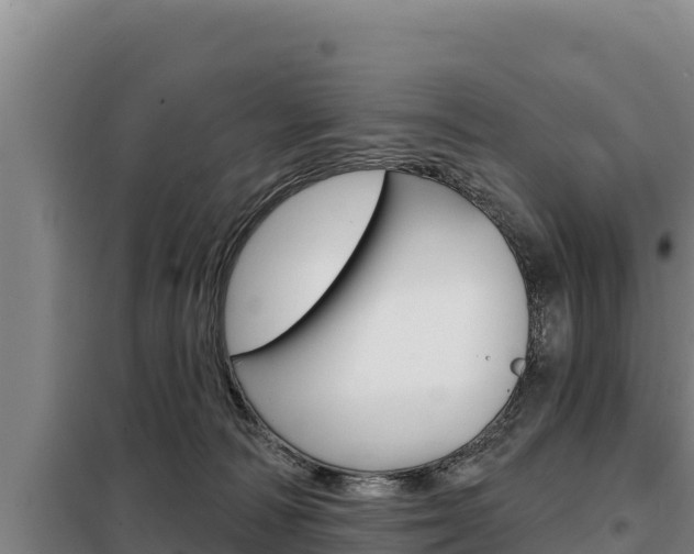 X0000098080226200804040759
