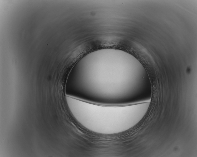 X0000098080227200804040759