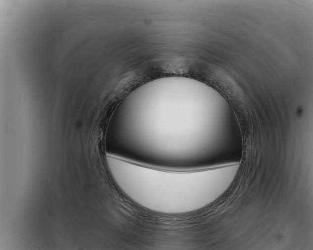 X0000098080229200804040759