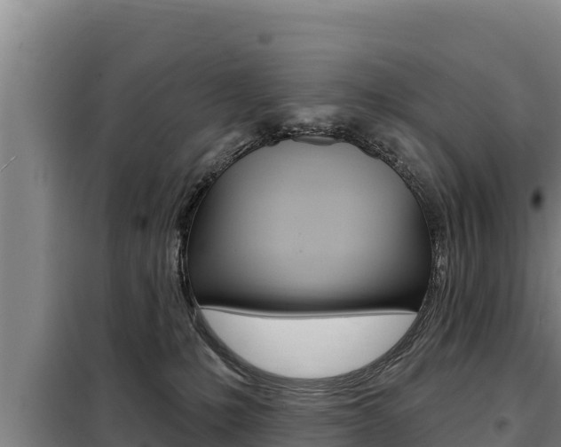 X0000098080231200804040758