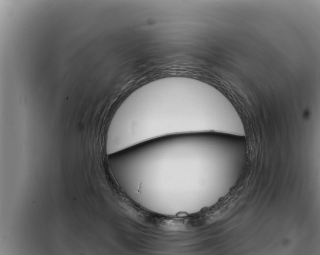 X0000098080232200804040758