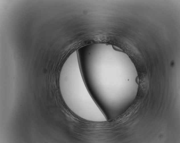 X0000098080233200804040758