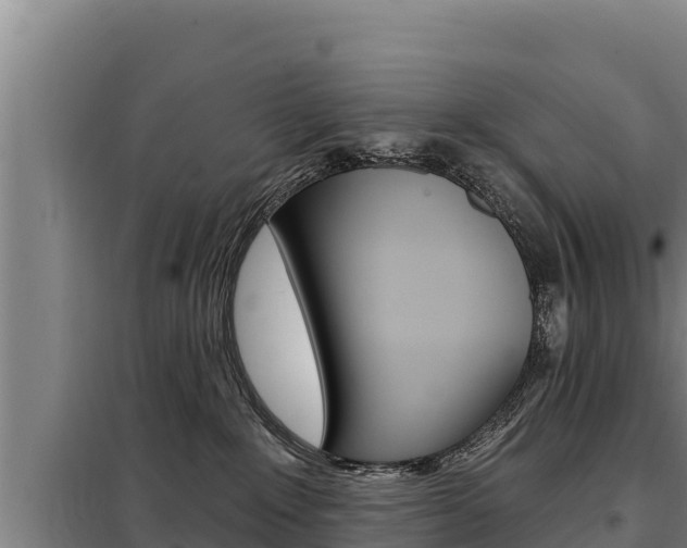 X0000098080235200804040758