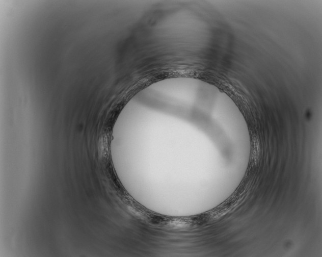 X0000098080236200804040758