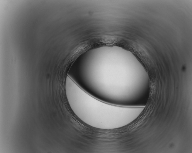 X0000098080237200804040758