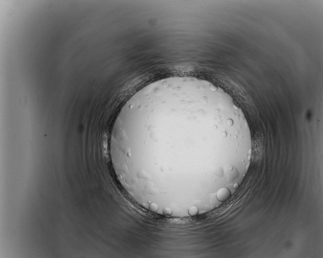 X0000098080238200804040758