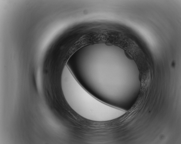 X0000098080239200804040758
