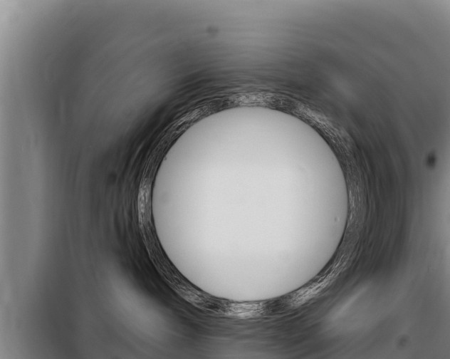 X0000098080240200804040758