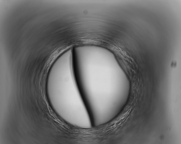 X0000098080241200804040758