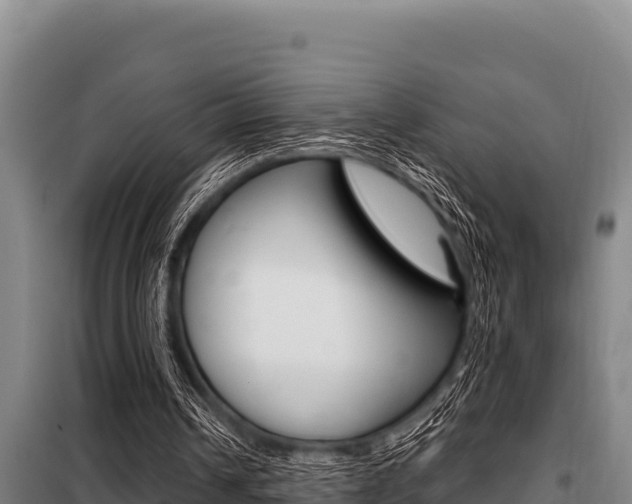 X0000098080242200804040758