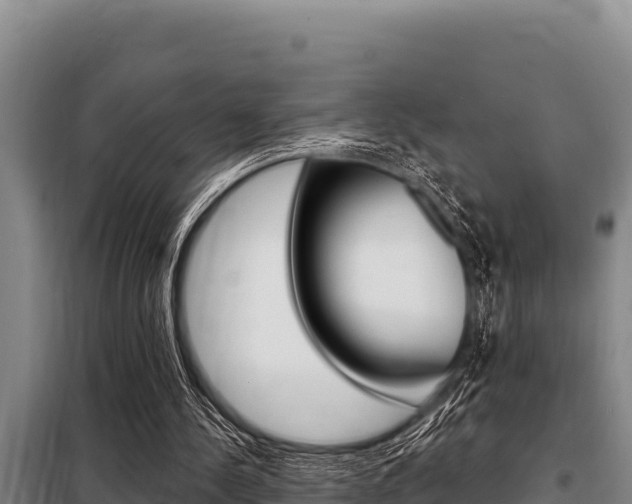 X0000098080244200804040758