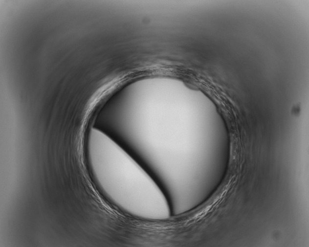 X0000098080245200804040758