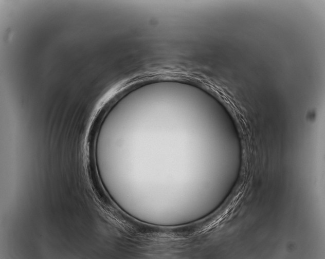 X0000098080246200804040758