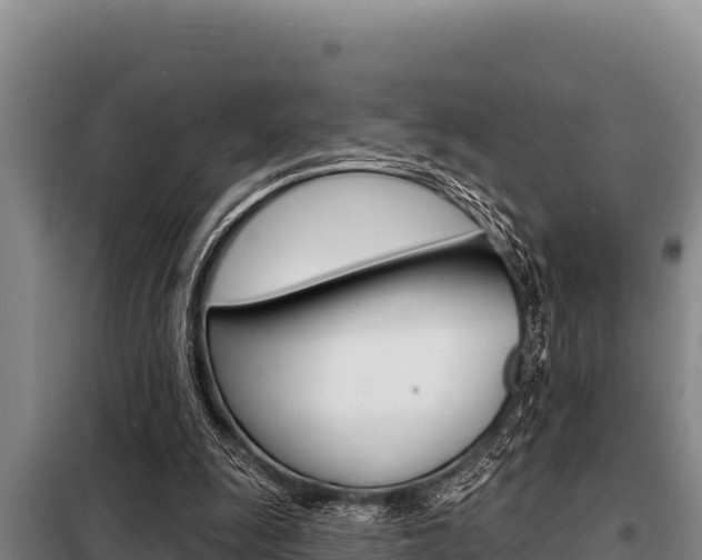 X0000098080247200804040758