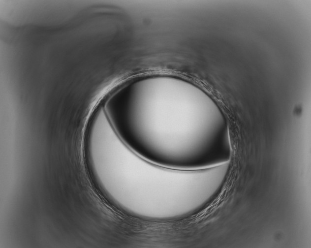 X0000098080248200804040758