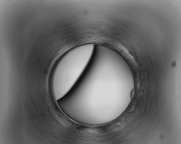 X0000098080250200804040758