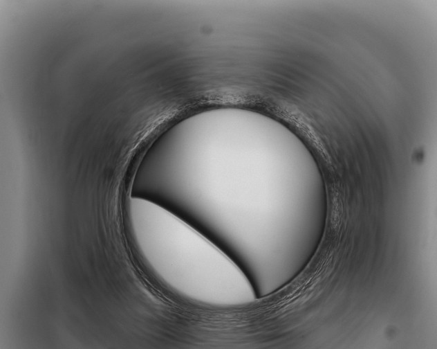 X0000098080251200804040758