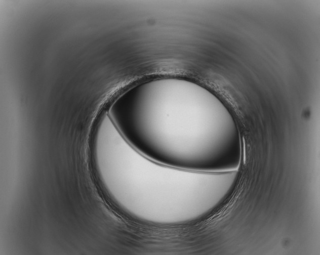 X0000098080252200804040758