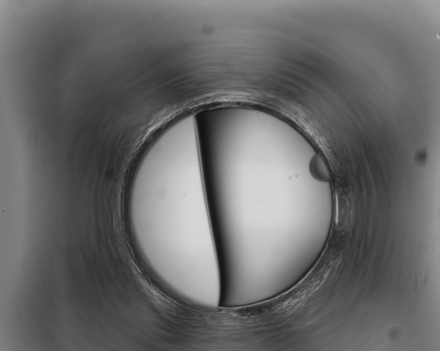 X0000098080253200804040758