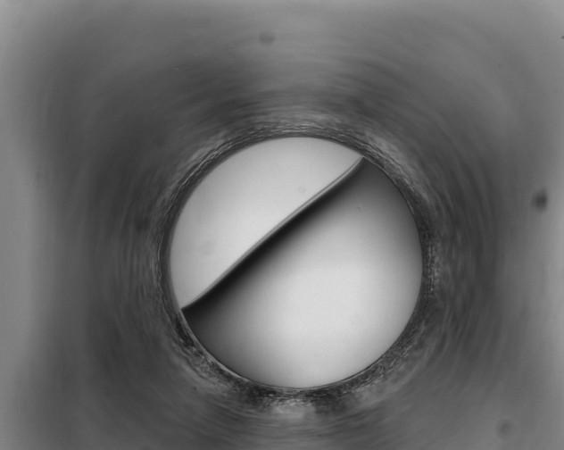 X0000098080258200804040758