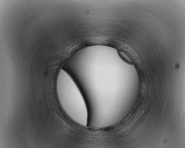 X0000098080259200804040758