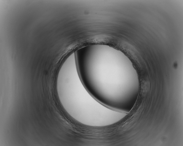 X0000098080260200804040758