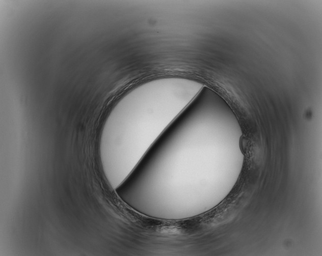 X0000098080262200804040758