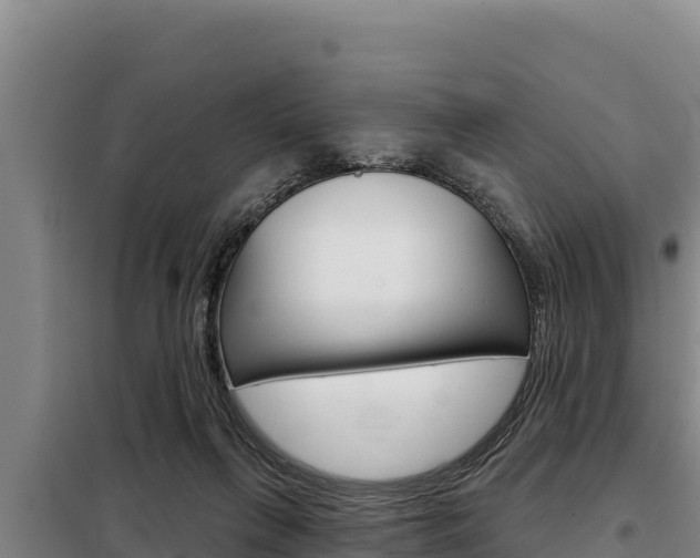 X0000098080263200804040758