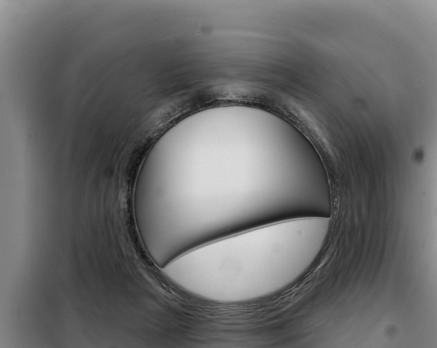 X0000098080265200804040758