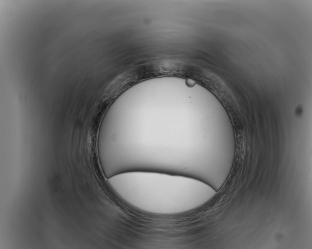 X0000098080266200804040758