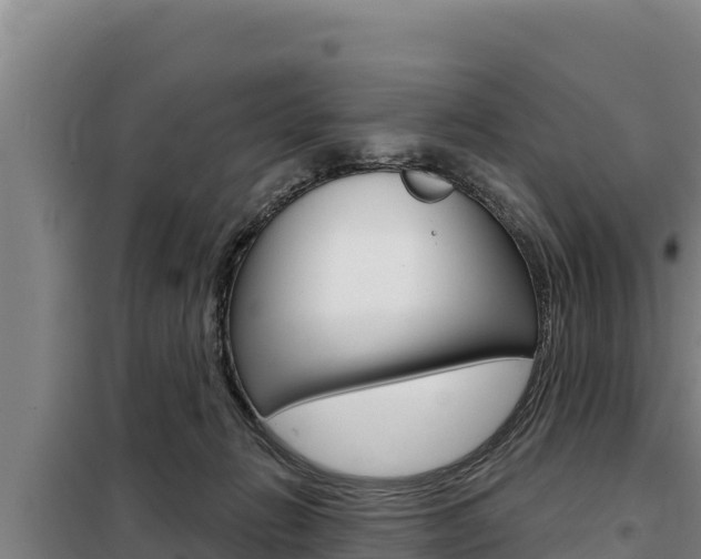 X0000098080270200804040758