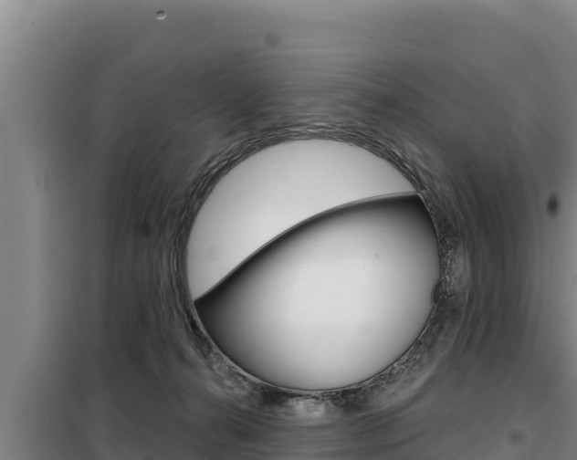 X0000098080272200804040758