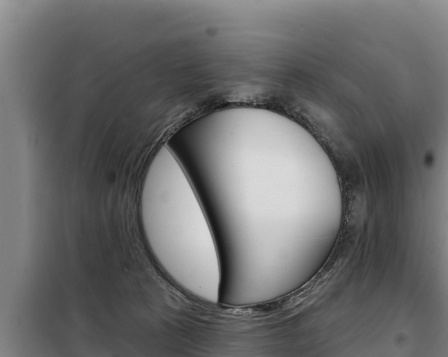 X0000098080273200804040758