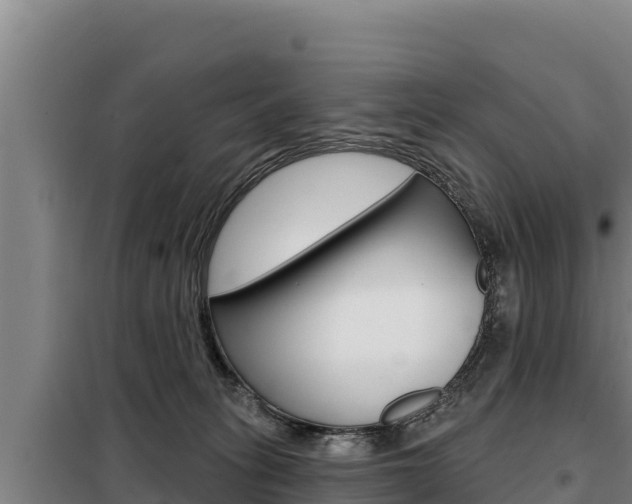 X0000098080275200804040758