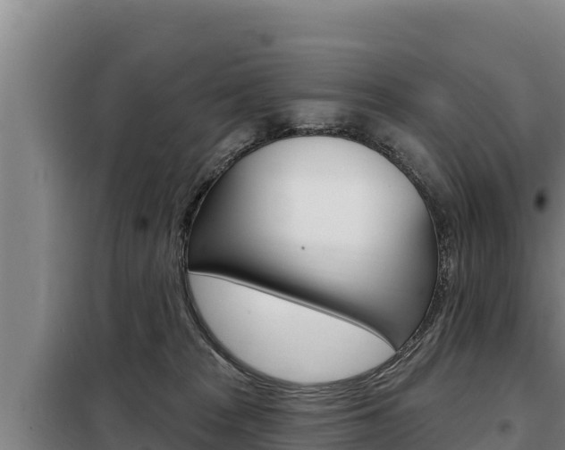 X0000098080277200804040758