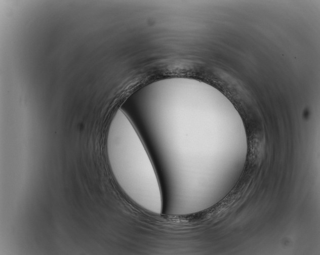 X0000098080278200804040758