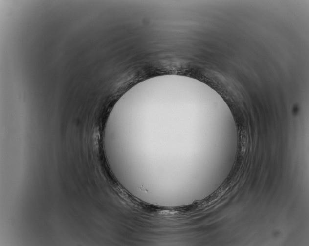 X0000098080279200804040758
