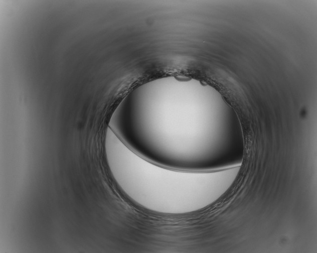 X0000098080280200804040758