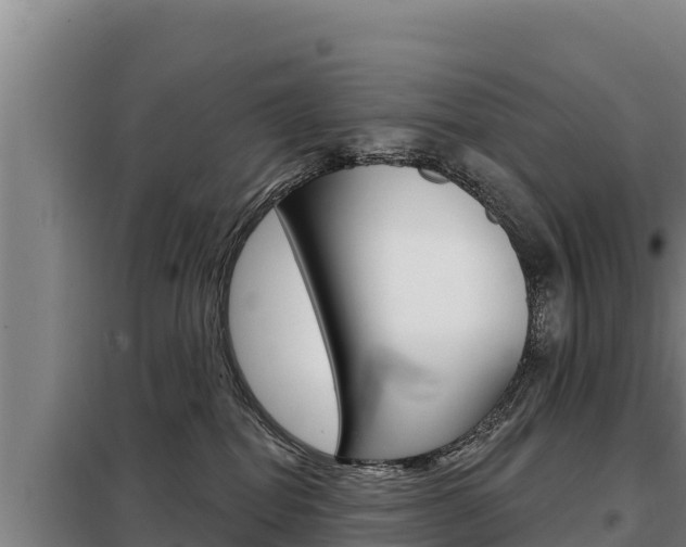 X0000098080282200804040758