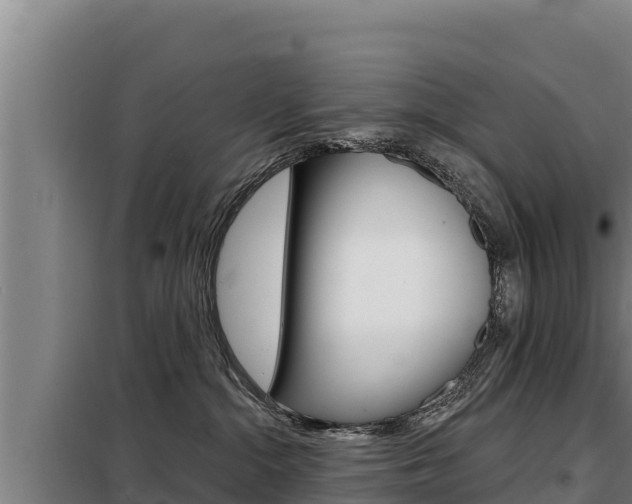 X0000098080284200804040758