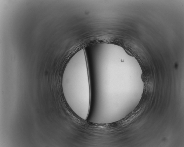 X0000098080285200804040758