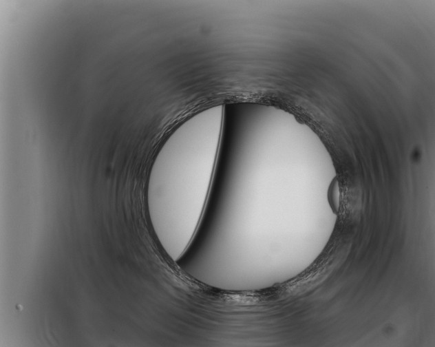 X0000098080286200804040758