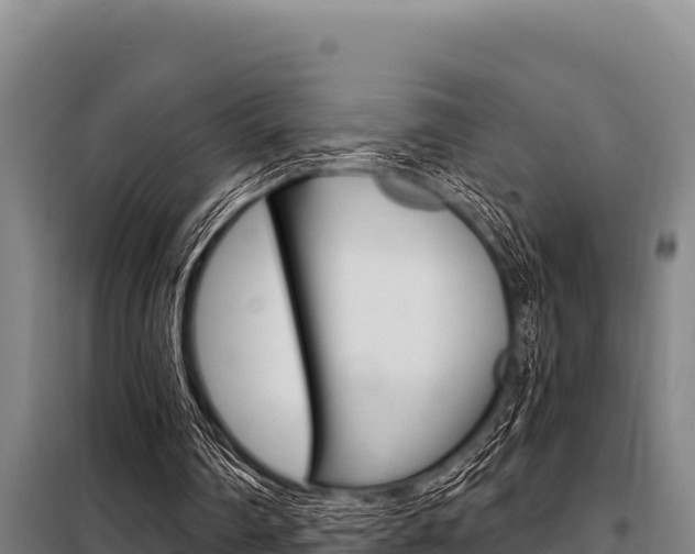 X0000098080290200804040758