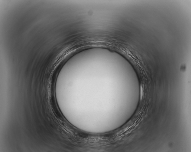 X0000098080291200804040758