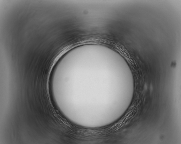 X0000098080292200804040758