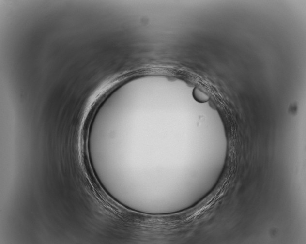 X0000098080294200804040758