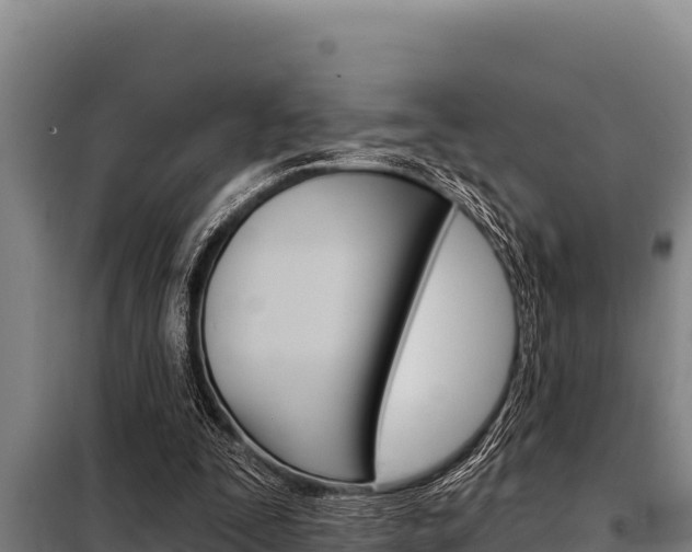 X0000098080295200804040758