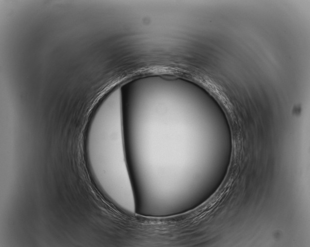 X0000098080297200804040758